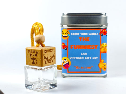Fun refillable car diffuser - Crazy cat lady