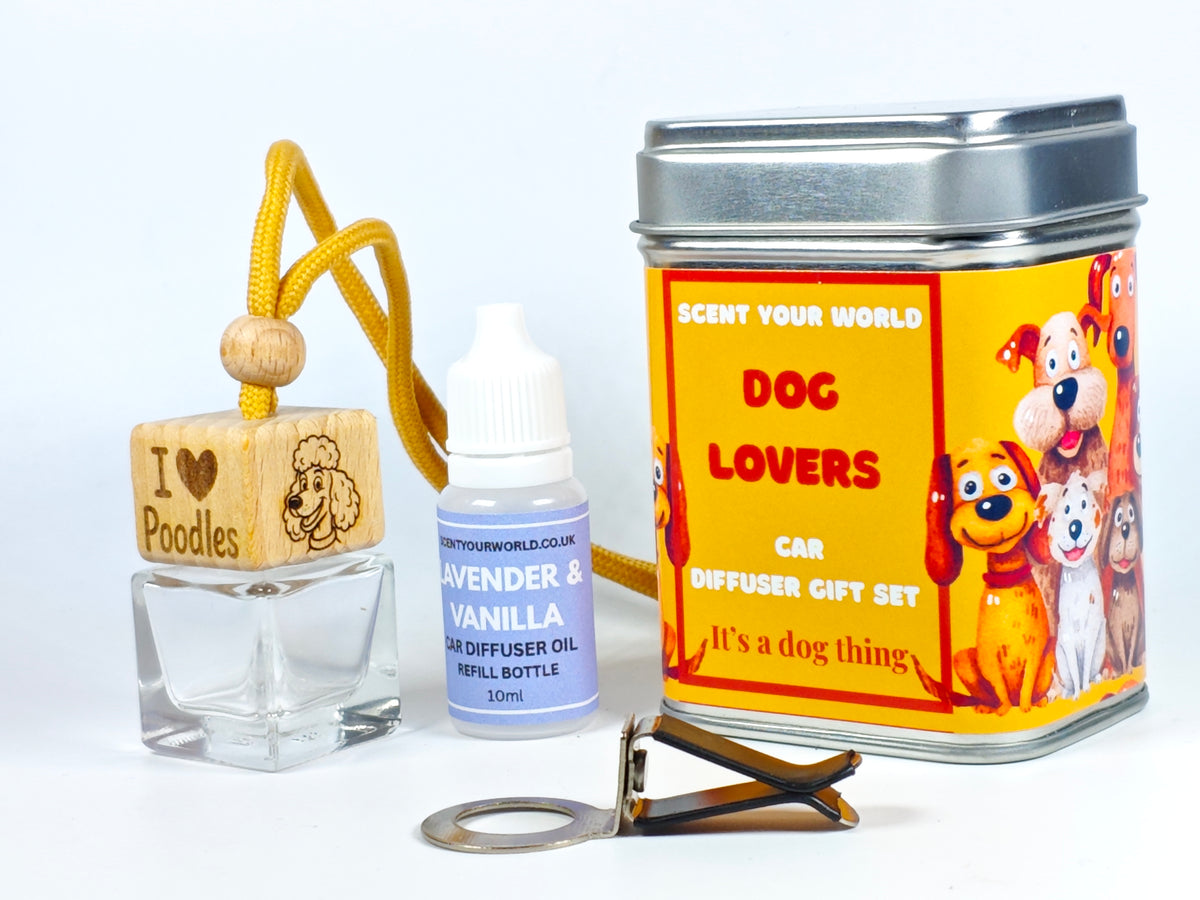 Poodle - Refillable car diffuser