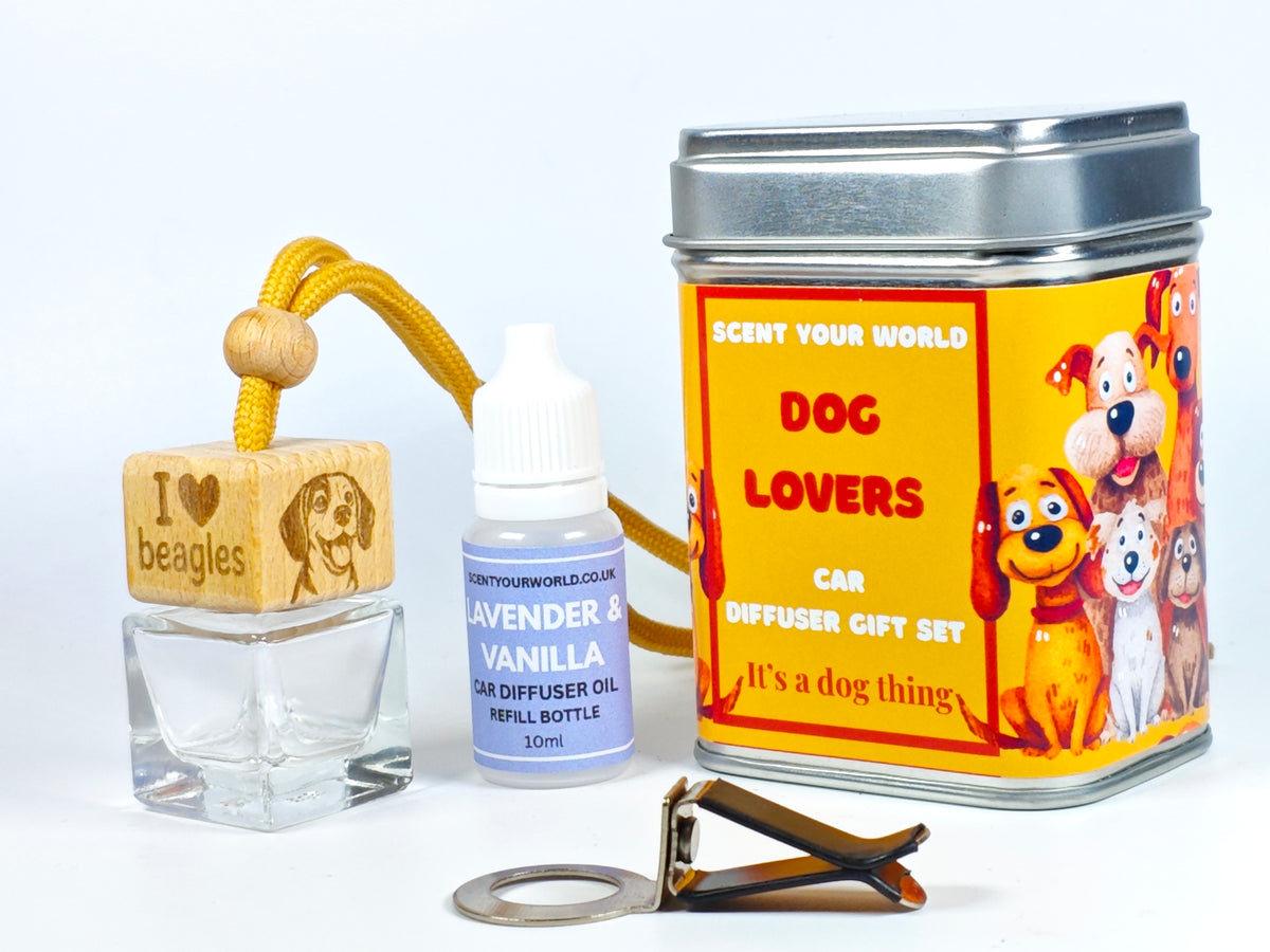 Beagle - Refillable car diffuser