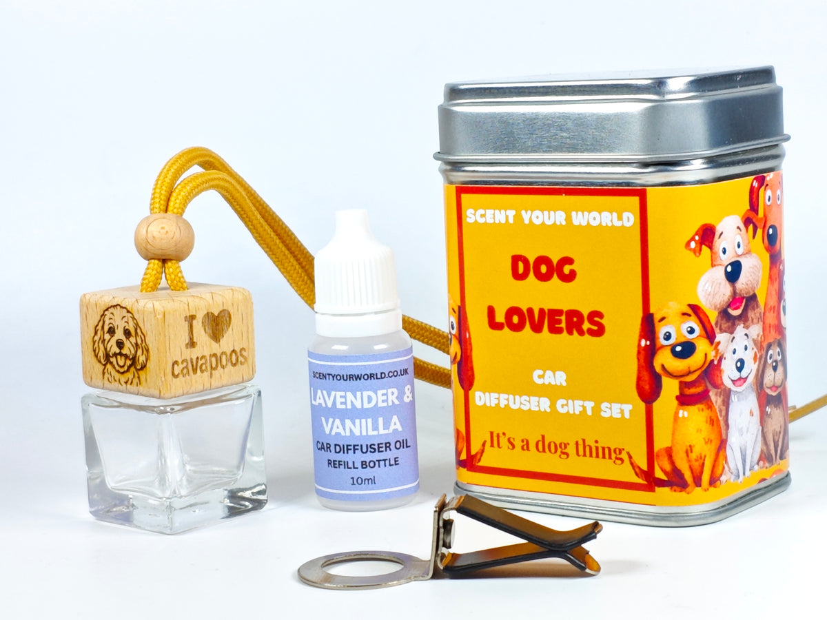 Cavapoo - Refillable car diffuser