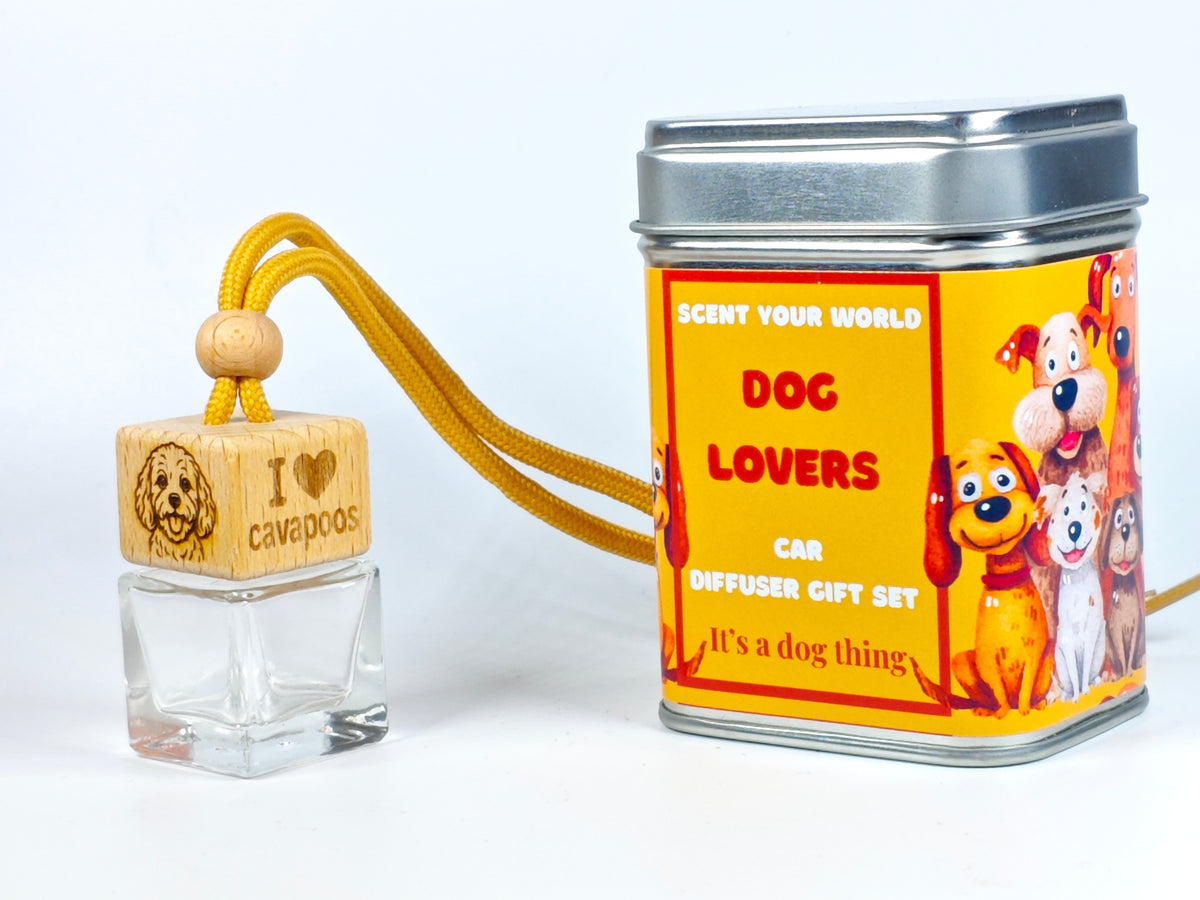 Cavapoo - Refillable car diffuser
