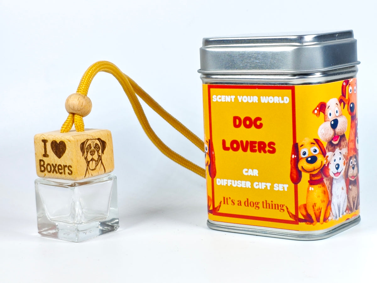 Boxer - Refillable car diffuser