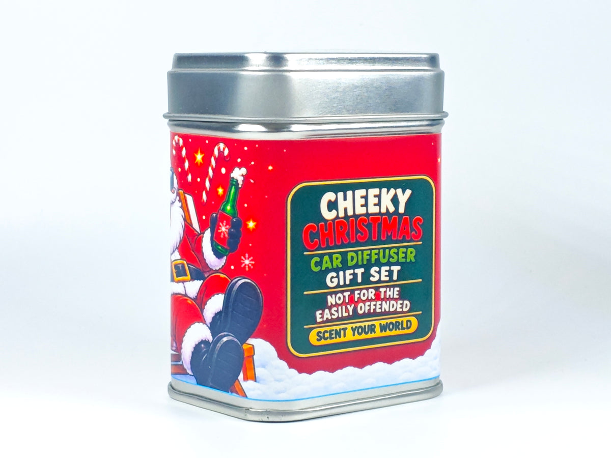 Nice bush - Refillable car diffuser
